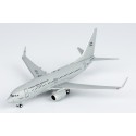 NGModels Argentina - Air Force B737-700 T-99 1/400